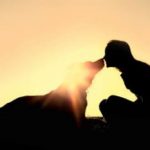 犬と運命の出会いってある？実際の体験談エピソード