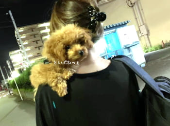 といぷねっと匿名くんと運命の出会いを果たしたワタシ