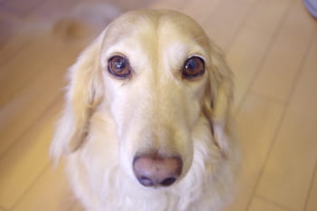 運命の出会いエピソード