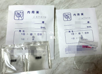 植物の固形肥料を食べた後、犬に処方された薬