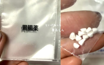 植物の固形肥料を食べた後、犬に処方された薬