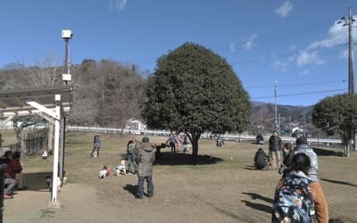 神奈川県　寄七つ星ドッグラン