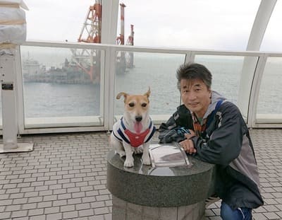 横浜港シンボルタワー展望室へ登っている愛犬と飼い主
