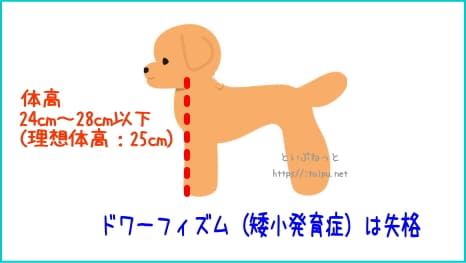 ジャパンケネルクラブの優良トイ・プードルの体型