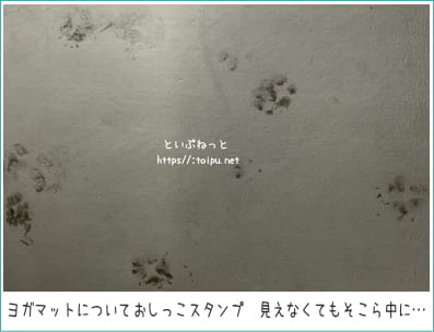 ヨガマットについた犬のおしっこスタンプ