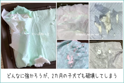 ２か月の子犬がイタズラしてボロボロになったペットシーツ