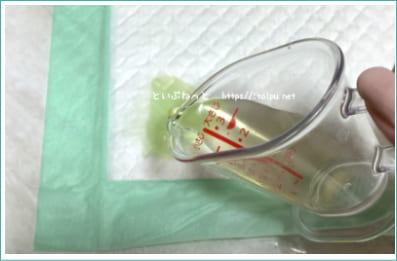 犬用ペットシーツの吸水性テストの様子