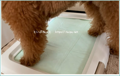 犬が蹴ってもよれたりズレないペットシーツ