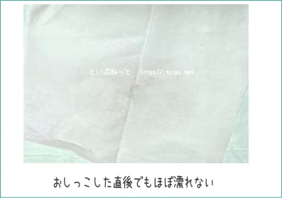 サラリ（Salari）瞬乾ペットシートの逆戻り検証テスト画像