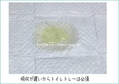 アイリスオーヤマ　クリーンペットシーツの吸水性検証テストの画像