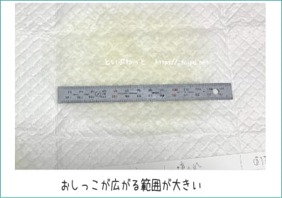 エアセレブ アロマティック ペットシーツの吸水性検証テストの様子