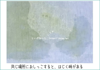 デオシートしっかり超吸収 無香消臭タイプの吸収力検証テストの様子