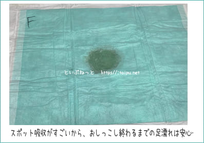 クリーンワン ダブルストップの吸水性テスト画像