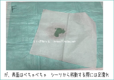 クリーンワン ダブルストップの後戻り検証テスト画像