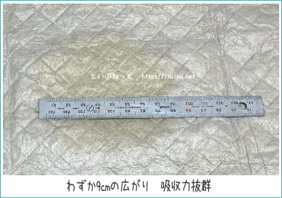 コーチョーネオシーツカーボンDX犬用の吸水性検証テストの様子