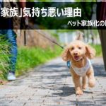 「犬は家族」が気持ち悪い理由は？ペット家族化の問題点