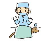去勢手術を受ける犬猫
