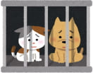 ケージに入っている犬猫