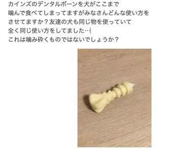 犬が食べてしまったカインズのデンタルボーン