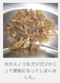 犬が誤飲した木の削りくず