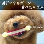 ハーツデンタルボーンは食べたらダメ！危険性と与える際の注意点