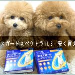 ネクスガードスペクトラを2万円も安く買えた話