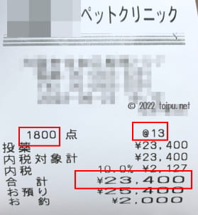 といぷねっと管理人ワタシが安く購入できたネクスガードスペクトラのレシート画像