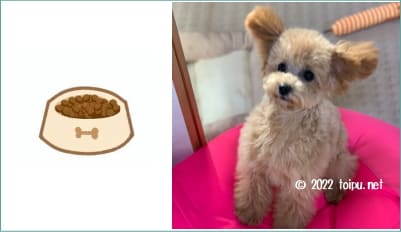 ネクスガードスペクトラの与え方