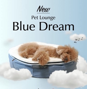 アンビエントペットラウンジの限定色ブルーとトイプードルの画像