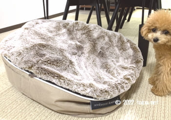 アンビエントペットラウンジのビーズをよせて低くした様子