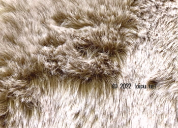 アンビエントペットラウンジのラビットベージュの毛並み画像