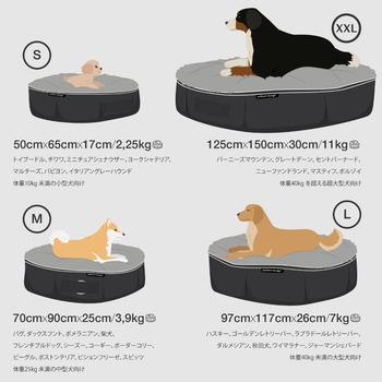 アンビエントペットラウンジのサイズ画像