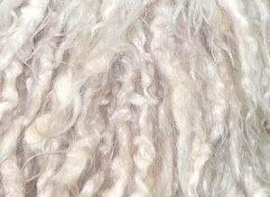 コーデッドプードルの被毛