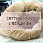 2023【しまむらホイホイ通販】ロールクッションが買える所や万能すぎた話とか