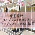 膝蓋骨脱臼ケージレストのやり方！我が家のパテラ体験談