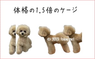 犬のケージレストの広さ