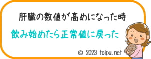アンチノールを飲んで肝臓の数値が正常値に戻った犬