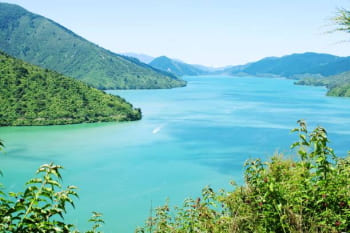 政府が水質管理を行なっているニュージーランドーのマールボロ・サウンズの水域