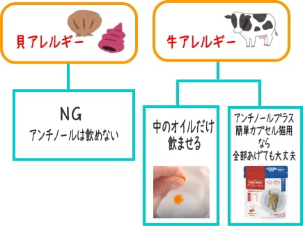 牛アレルギーのあるわんちゃんがアンチノールを飲む方法