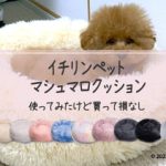 イチリンペットマシュマロクッション買って損なし！最高だった話