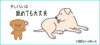 犬が舐めても大丈夫な白色ワセリン