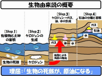 ワセリンの生物由来説 解説画像
