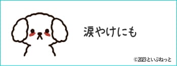 涙やけで白色ワセリンを塗っている犬のイメージ画像
