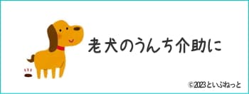 うんちの排泄補助で怪我をして白色ワセリンを使っている老犬のイメージ画像