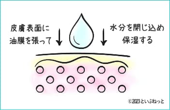 ワセリンの保湿効果解説画像