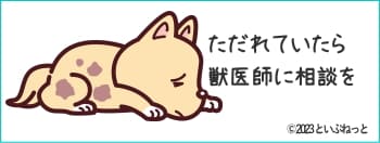 出血したり滲出液や膿が出ている犬のただれのイラスト