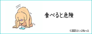 ワセリンを大量に食べて嘔吐している犬
