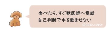 犬がリップクリームを食べた時の対処法