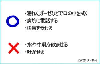 犬が化粧品を舐めた(飲んだ)時の対処法