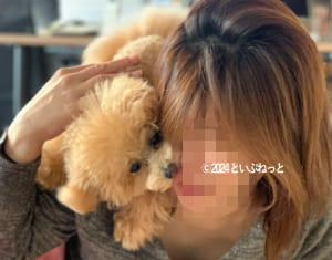 人の顔を舐めているティーカッププードル